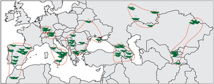 1001 Genome-Project – On the way to a complete catalog of the Arabidopsis genome