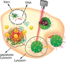 Multifunctional platform for the delivery of gene therapeutics