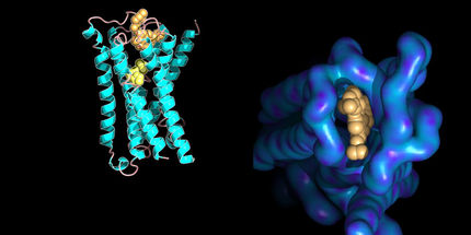 Measuring molecular interactions