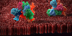 New tool for structural biology