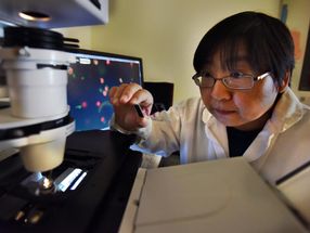 Helping certain breast cancer patients with a 3 in 1 molecule
