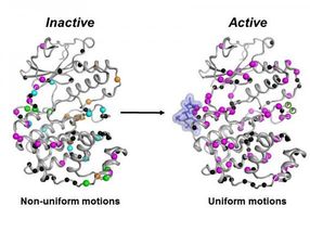 Enzyme's movement may be key to new cancer drugs