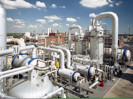 BASF lifts force majeure for key vitamin A and E products
