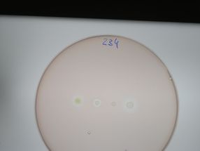 A novel antibiotic from weeds