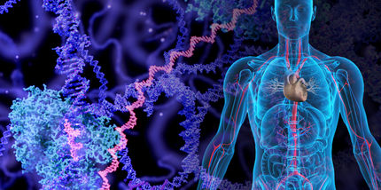 Hidden signs in cancer tissue