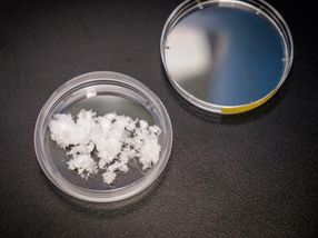 Fat-blocking effect of nanofibers discovered