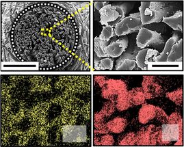 Cotton-based hybrid biofuel cell could power implantable medical devices