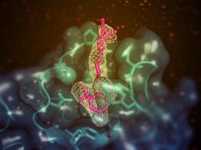 How a small molecule promotes removal of excess cholesterol