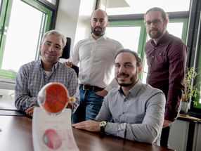 A muscle protein promotes nerve healing