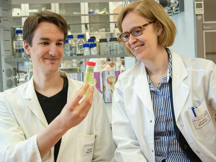 “Biological Bandage” Could Help Heal Wounds