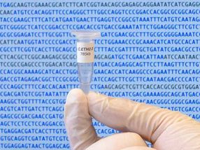First bacterial genome created entirely with a computer
