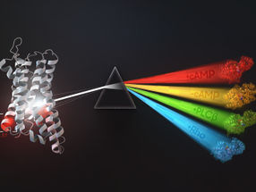 Coupled Proteins