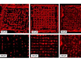 Bioprinting: Living cells in a 3D printer