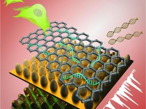 Better biosensor technology created for stem cells