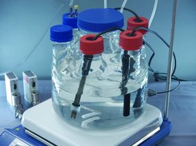 Use of low-energy electrons for innovative biotechnology processes