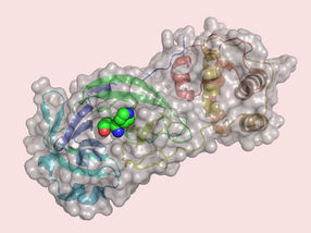 Virtual screening for active substances against the coronavirus