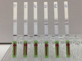 Diagnostics, meet CRISPR