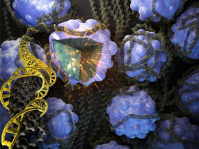 High-capacity battery material using salmon DNA