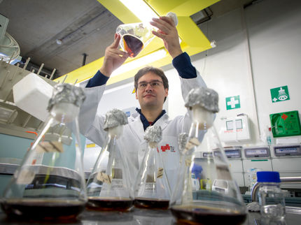 Breaking down stubborn cellulose in time lapse