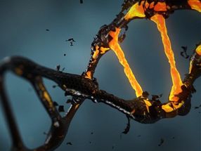Gene editing: Taming CRISPR’s collateral damage