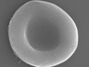 Synthetic red blood cells mimic natural ones, and have new abilities