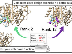 Ancient enzymes can contribute to greener chemistry