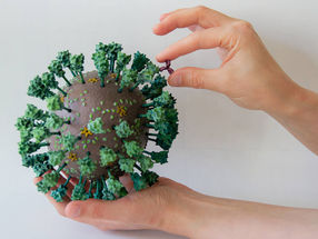 Touchable corona viruses