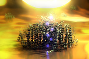 Photosystem-I