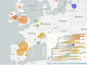 Spread of a novel SARS-CoV-2 variant across Europe in summer 2020