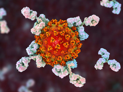 COVID-19: How is Severity of the Disease Related to Antibody Response?
