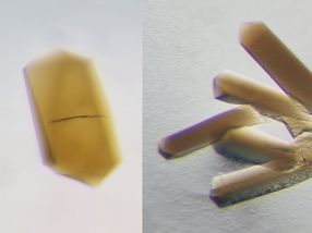 Cellular powerplant recycles waste gases