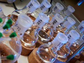 Hybrids of Protein and Metal Complex
