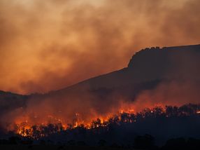 From smoky skies to a green horizon: Scientists convert fire-risk wood waste into biofuel