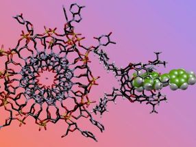 Chemical 'nose' sniffs critical differences in DNA structures