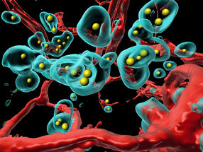 New Technology Makes Tumor Eliminate Itself