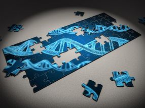 Cholesterol Levels Sustainably Lowered Using Base Editing