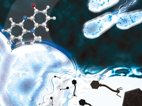 Bacteria hijack latent phage of competitor