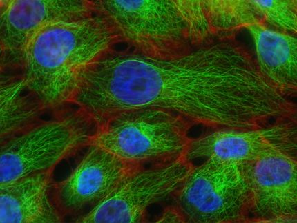 Machine learning helps in predicting when immunotherapy will be effective
