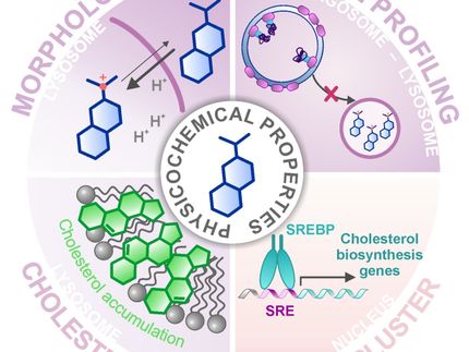 Characterized drugs show unexpected effects