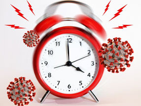 SARS-CoV-2 disrupts timing of immune response