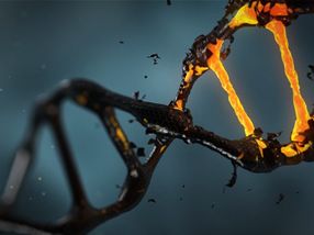 New prognostic biomarkers and cancer-driving genes found in the dark matter of the cancer genome