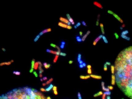 New start-up Trince raises EUR 4 million for innovative technology to produce personalized cancer therapies safer, cheaper, and faster