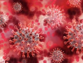 New marker for better assessing the severity of Covid-19