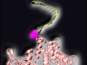 PCR: Activated by light