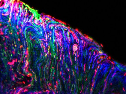 Taking Microbes Out of Dark and Into the Light