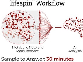 Lifespin secures bridge financing