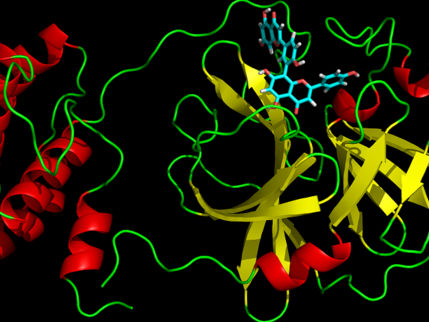 Natural compounds that inhibit the main protease of the SARS-CoV-2 virus discovered by virtual screening