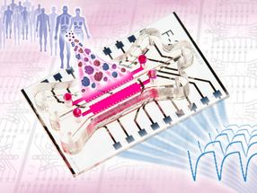 3D tissue structures on the chip act as organs in miniature
