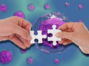 BioNTech and Medigene announce global collaboration to advance T cell receptor immunotherapies against cancer