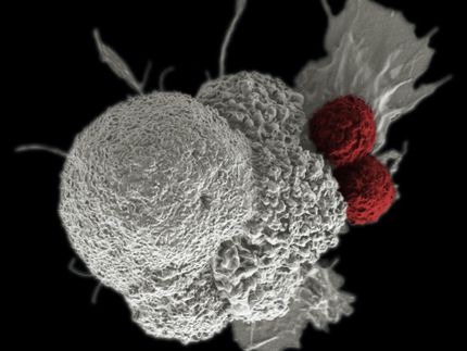 Affini-T Therapeutics